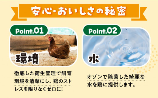 まつもと たまご 80個（10個×8パック） 長崎県産 西海市 たまご 卵 玉子 タマゴ 鶏卵 オムレツ 卵かけご飯 朝食 料理 人気 卵焼き ＜松本養鶏場＞[CCD009]