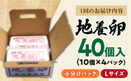 【12回定期便】最高級 卵 かきやまの「地養 卵 」 Lサイズ 40個 国産たまご たまご 卵 玉子 タマゴ 鶏卵 たまごやき 卵かけご飯 卵焼き たまご 西海市産 ＜垣山養鶏園＞ [CBB004]