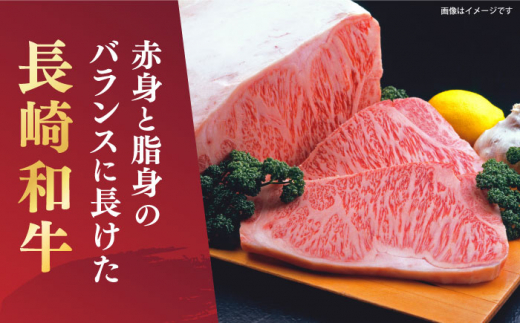 焼肉【A4～A5】長崎和牛  焼肉用　500ｇ＜株式会社MEAT PLUS＞ [CFT001]