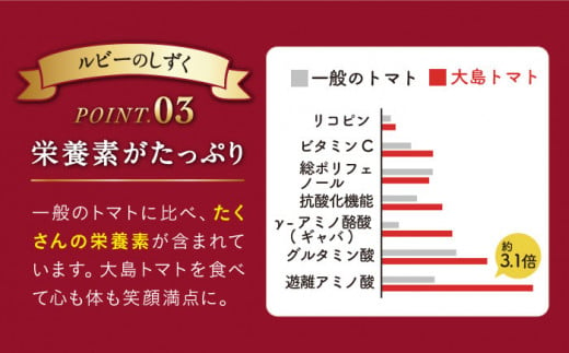 高糖度 トマト 【2025年収穫分先行予約】【 訳あり 】 大島 トマト 特選「 ルビーのしずく 」約1.2kg   西海市産 トマト とまと 野菜 新鮮 旬 ＜大島造船所 農産グループ＞ [CCK025]