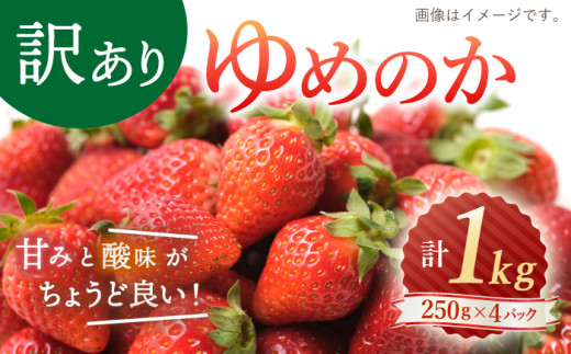 【先行予約】【 訳あり 】 ゆめのか いちご 約1kg（250g×4パック）＜川原農園＞ [CDR001] 長崎 西海 いちご 苺 イチゴ