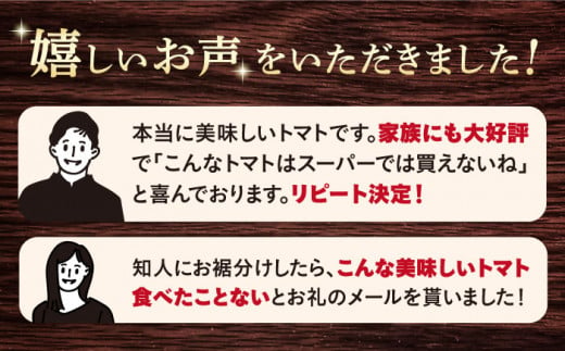 トマト 高糖度 【2025年収穫分先行予約】【3kg×3回 定期便 】糖度8度以上の果実！ 大島 トマト 計9kg  西海市産 トマト とまと 訳あり トマト 大島トマト 甘いトマト ＜大島造船所 農産グループ＞ [CCK006]