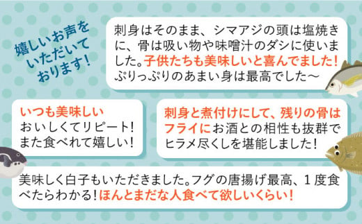 【旬のお魚定期便】大島の海の幸を贅沢定期便に！＜大島水産種苗＞ [CBW013]