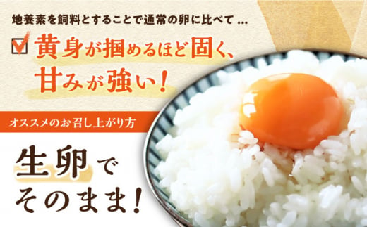 【6回定期便】最高級 卵 地養卵 Mサイズ 40個×6回定期便 長崎県産 西海市 たまご 卵 玉子 タマゴ 鶏卵 オムレツ 卵かけご飯 朝食 料理 人気 卵焼き＜垣山養鶏園＞ [CBB019]