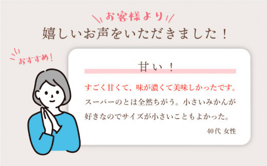 みかん 【先行予約☆特秀品】 原口みかん 約10kg（傷み保証分300g含む） ＜川添みかん園＞ [CCT004]