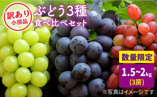 【訳あり】【ご家庭用におすすめ♪】県内唯一の技術で栽培した「ぶぶぶどう」ぶどう3色食べ比べ（1.5～2.0kg） [CCE008]