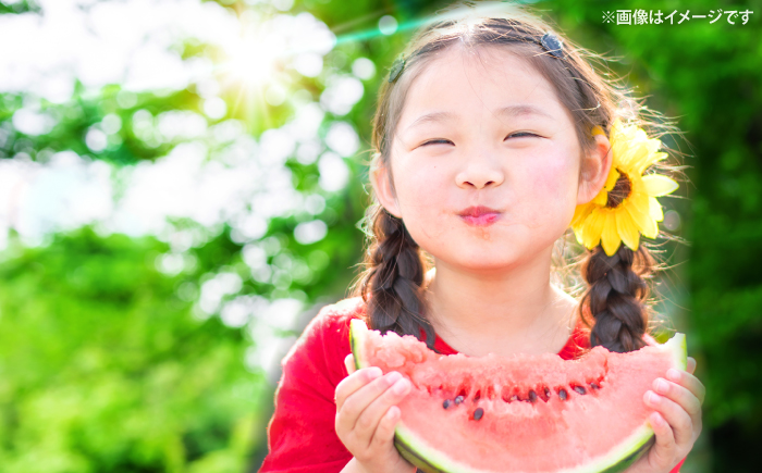 すいか【先行予約：2026年6月中旬より配送】 羅皇2玉 （1玉当たり6〜8kg） ＜武藤農園＞ [CFV007] 甘い 大玉 旬 ギフト プレゼント フルーツ 夏 スイカ すいか 先行予約 2026年 長崎県 西海市 