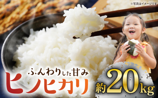 【数量限定】【 令和5年産 新米 】ヒノヒカリ約20kg ＜村山金定＞ [CFP005]