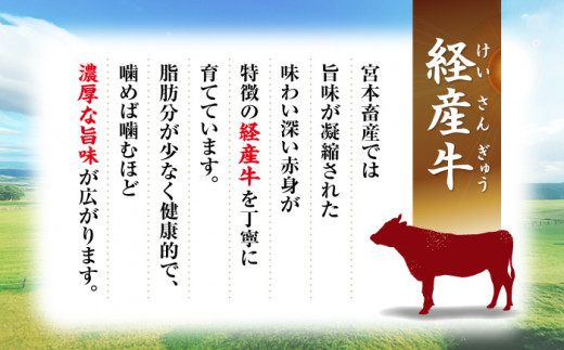 【6回定期便】 和牛 切り落とし 長崎県産黒毛和牛 切り落とし 計12kg（約2kg×6回） 和牛 牛 牛肉 切り落とし 和牛切り落とし ＜宮本畜産＞ [CFA009]