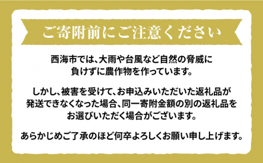 【 令和5年産 新米 ☆先行予約】【木村式自然栽培】 玄米 くまみのり 約 15kg ＜ハマソウファーム＞ [CBR018]