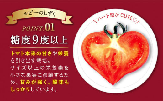 高糖度 トマト 【2025年収穫分先行予約】【 訳あり 】 大島 トマト 特選「 ルビーのしずく 」約1.2kg   西海市産 トマト とまと 野菜 新鮮 旬 ＜大島造船所 農産グループ＞ [CCK025]