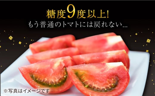 トマト ミスズプレミアム トマト 約1kg（9個）  西海市産 トマト とまと 野菜 新鮮 旬  ＜株式会社ミスズアグリ西海＞ [CFN002]