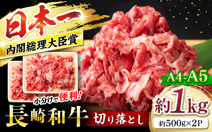 【A4〜A5】 長崎和牛 切り落とし 約1kg（500g×2パック）＜株式会社MEAT PLUS＞ [CFT025] 国産 和牛 牛肉 切り落とし きりおとし