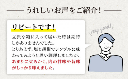 【訳あり】【数量限定】長崎和牛 ヒレ サイコロステーキ500g＜大西海ファーム＞ [CCY088]