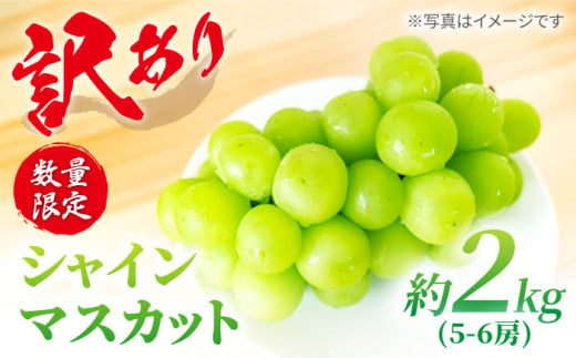 【訳あり】【糖度18以上！】 シャインマスカット 「西海シャイン物語」約2kg（5〜6房） ぶどう ブドウ シャインマスカット マスカット 種なし 西海市産  ＜最強の兼業農家山田さん＞ [CCX006]