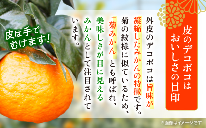 【☆先行予約☆】【数量限定】ハウス木成完熟 なつみ （ マンダリン ）約5kg＜原口果樹園＞ [CCW006] 長崎 西海 みかん ミカン 蜜柑 柑橘 5kg 贈答 ギフト 