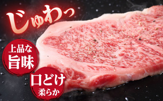 【3回定期便】 長崎和牛 サーロイン ステーキ  約600g（3枚） サーロイン さーろいん 牛肉 ブランド牛 高級 和牛 国産牛 ＜ミート販売黒牛＞ [CBA070]