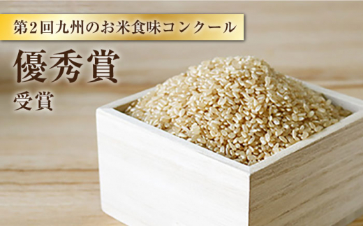 【 令和5年産 新米 ☆先行予約】【3回定期便】【木村式自然栽培】 玄米 くまみのり 約 10kg ＜ハマソウファーム＞ [CBR022]