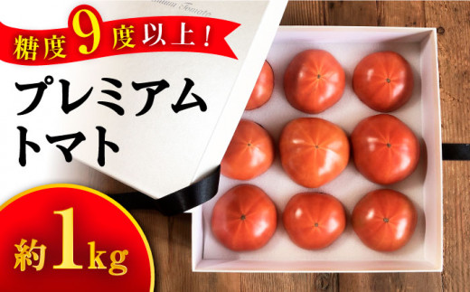 トマト ミスズプレミアム トマト 約1kg（9個）  西海市産 トマト とまと 野菜 新鮮 旬  ＜株式会社ミスズアグリ西海＞ [CFN002]