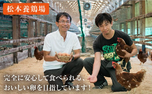 【月1回20個×3回 定期便 】 平飼い 「 しあわせ たまご 」計60個＜松本養鶏場＞ [CCD027]