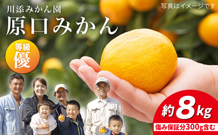 【11下旬より配送開始☆優品】原口みかん 約8kg（傷み保証分300g含む）＜川添みかん園＞ [CCT002] みかん