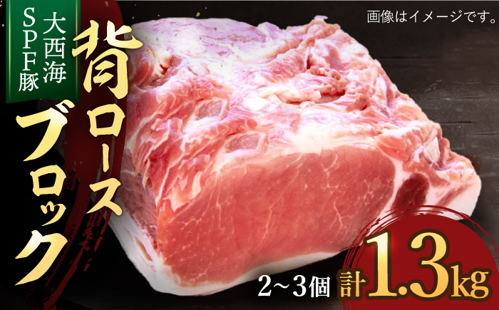 【肉塊で肉会】大西海SPF豚 背ロースブロック 計1.3kg（2〜3個） 訳あり ＜大西海ファーム＞ [CCY027]