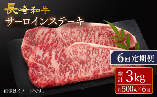 【訳あり】【6回定期便】 長崎和牛 サーロイン ステーキ 約500g（2枚） 【大西海ファーム食肉加工センター】 [CEK180]