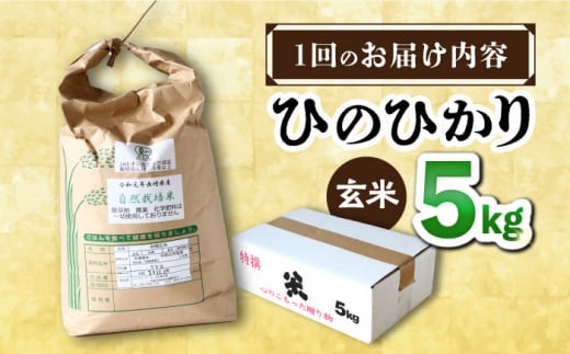 【12回定期便】 ひのひかり 玄米 5kg＜ハマソウファーム＞ [CBR029]