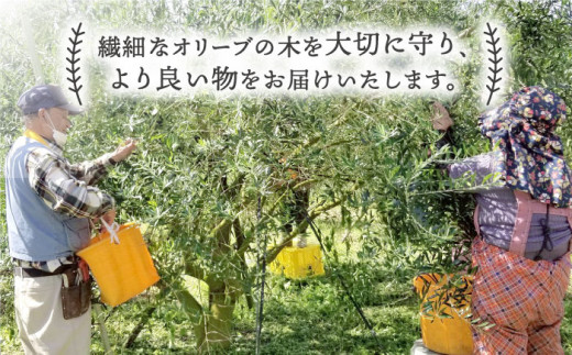 【数量限定】【2023年産】 厳選 オリーブオイル 100g×2本＜西海市オリーブ振興協議会＞ [CER001]