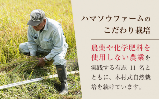 【 令和5年産 新米 ☆先行予約】【3回定期便】【木村式自然栽培】 白米 くまみのり 約 5kg ＜ハマソウファーム＞ [CBR015]