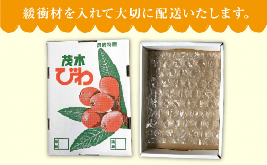 びわ ビワ（長崎早生） 約1.5kg 西海市 ビワ びわ 琵琶 果物 フルーツ ＜谷添正義＞ [CDM003]