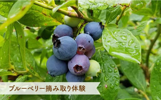 【1日1組限定】宿泊券（2名様）2泊（5食付き）＜江島さとや＞ [CBJ002]