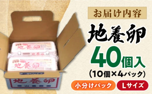 卵 最高級 地養 卵 Lサイズ 40個 長崎県産 西海市 たまご 卵 玉子 タマゴ 鶏卵 卵かけご飯 卵焼き たまご ＜垣山養鶏園＞ [CBB001]