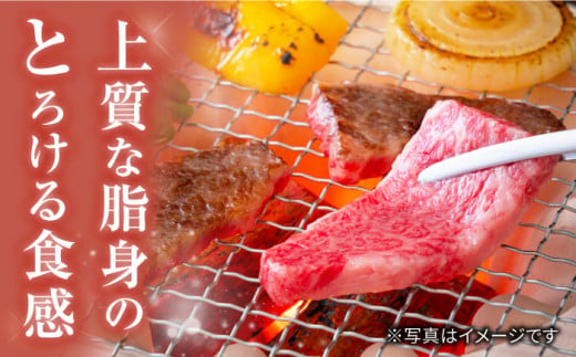 【 訳あり 】 長崎和牛 ロース 焼肉 用 約500g＜大西海ファーム＞ [CEK132]