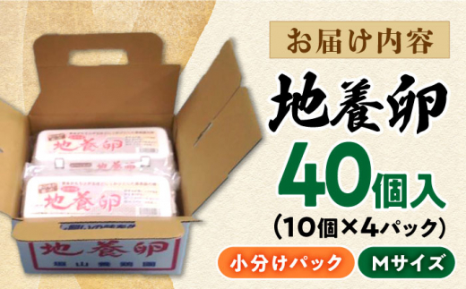 最高級 卵 地養卵 Mサイズ 40個 長崎県産 西海市 たまご 卵 玉子 タマゴ 鶏卵 オムレツ 卵かけご飯 朝食 料理 人気 卵焼き＜垣山養鶏園＞ [CBB017]