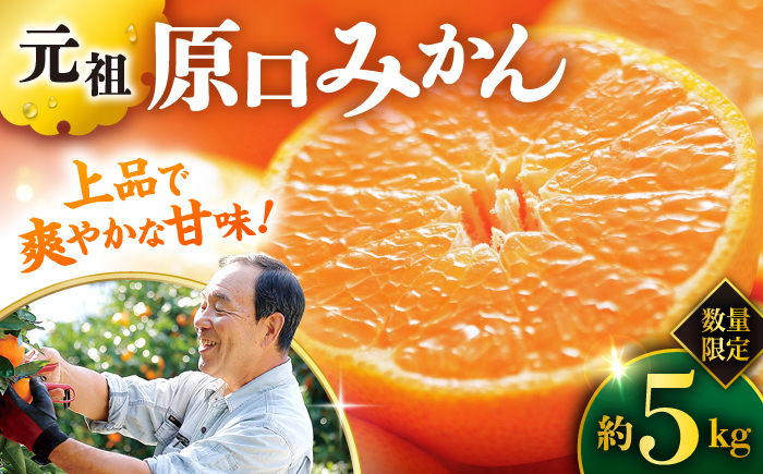 『元祖！』 原口みかん 約5kg ＜原口果樹園＞ [CCW001]  長崎 西海 みかん ミカン 柑橘 贈答 ギフト みかん