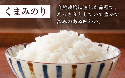 【 令和5年産 新米 ☆先行予約】【3回定期便】【木村式自然栽培】 白米 くまみのり 約 5kg ＜ハマソウファーム＞ [CBR015]