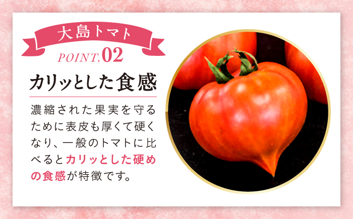 今シーズンお届け☆【 訳あり 】 糖度8度以上！ 大島 トマト 約1.8kg＜大島造船所 農産グループ＞ [CCK007] 長崎 西海 トマト とまと 大島トマト 高糖度 贈答 不揃い 訳あり