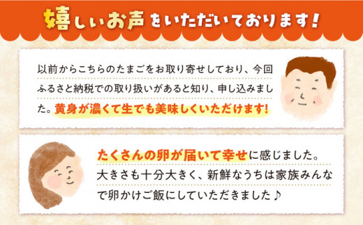 【6回定期便】 まつもとたまご  Lサイズ 赤玉 60個 ＜松本養鶏場＞[CCD007]