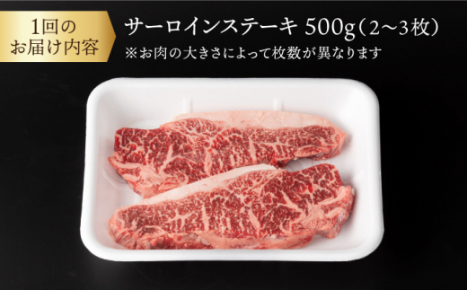 【6回定期便】 サーロイン ステーキ  長崎県産黒毛和牛  500g（2～3枚） 和牛 牛 牛肉 サーロイン ステーキ 牛ステーキ  ＜宮本畜産＞ [CFA032]