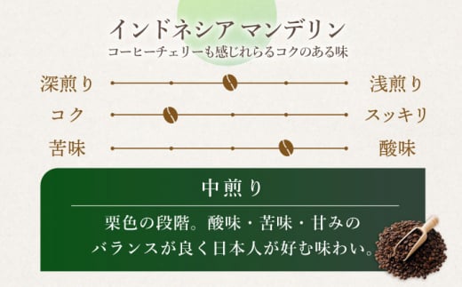 【飲み比べ】【3回定期便】ドリップバック 自家焙煎コーヒー 100袋（5種類×20袋） ＜giko coffee＞ [CFK038]