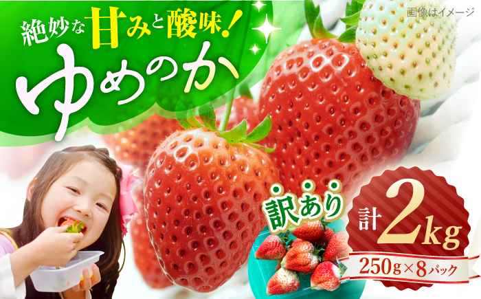 【先行予約】【 訳あり 】 ゆめのか 苺 計2kg （250g×8パック）＜川原農園＞ [CDR005] 長崎 西海 いちご 苺 イチゴ