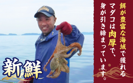 天然 タコ ボイル済み ゑべす蛸 3匹（計1.5kg） 西海市 海鮮 海の幸 天然 タコ 蛸 たこ 冷凍 ＜大瀬戸町漁協＞ [CAR007]