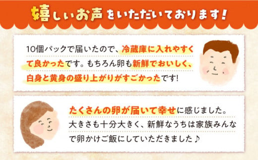 まつもと たまご Lサイズ 赤玉 40個（10個×4パック） 長崎県産 西海市 たまご 卵 玉子 タマゴ 鶏卵 オムレツ 卵かけご飯 朝食 料理 人気 卵焼き ＜松本養鶏場＞[CCD001]