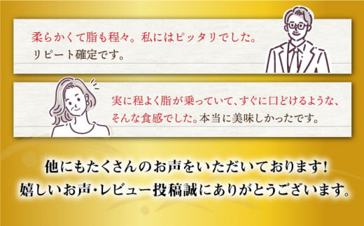 【数量限定】【6回 定期便 】 長崎和牛 ヒレ ステーキ 約1kg（6～8枚）×6回定期便＜大西海ファーム＞ [CEK142]