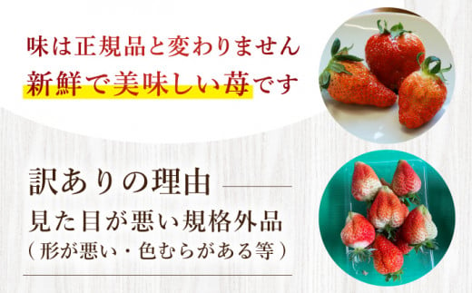 【先行予約】【数量限定】【 訳あり 】 ゆめのか 苺 約2kg （250g×4パック×2箱）＜川原農園＞ [CDR005]