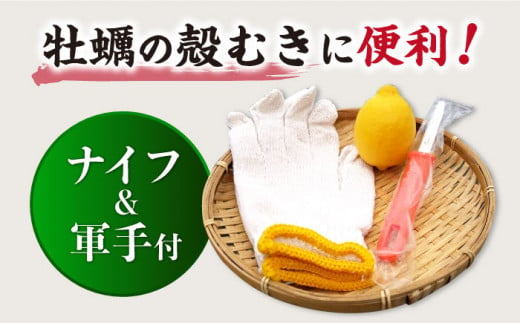 牡蠣 カキ 【着日指定可】西海 ブランド 牡蠣 「 ハマボウ 」 約4kg（40～50個）（中～大サイズ） カキ 牡蠣 生ガキ 4kg 日時指定 冷蔵 牡蠣 カキ 牡蠣 ＜ハマフジ水産＞ [CES006]