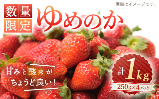 【☆先行予約☆】【数量限定】 ゆめのか いちご 約1kg（250g×4パック）＜川原農園＞ [CDR009]  長崎 西海 いちご 苺 イチゴ 贈答 ギフト