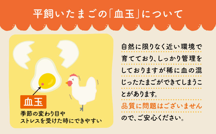【ノンストレス卵】 平飼い 「しあわせたまご 」40個＜松本養鶏場＞ [CCD021]