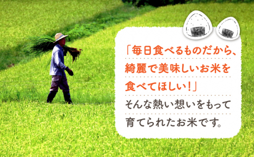 【数量限定】【 令和5年産 新米 】ヒノヒカリ約10kg ＜村山金定＞ [CFP004]